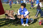 C-Elephants  0048_resize